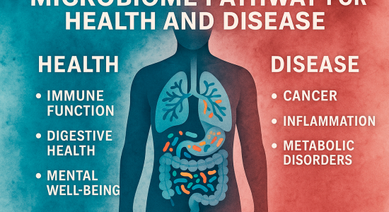 How Microbiome Research Is Quietly Reshaping Modern Medicine